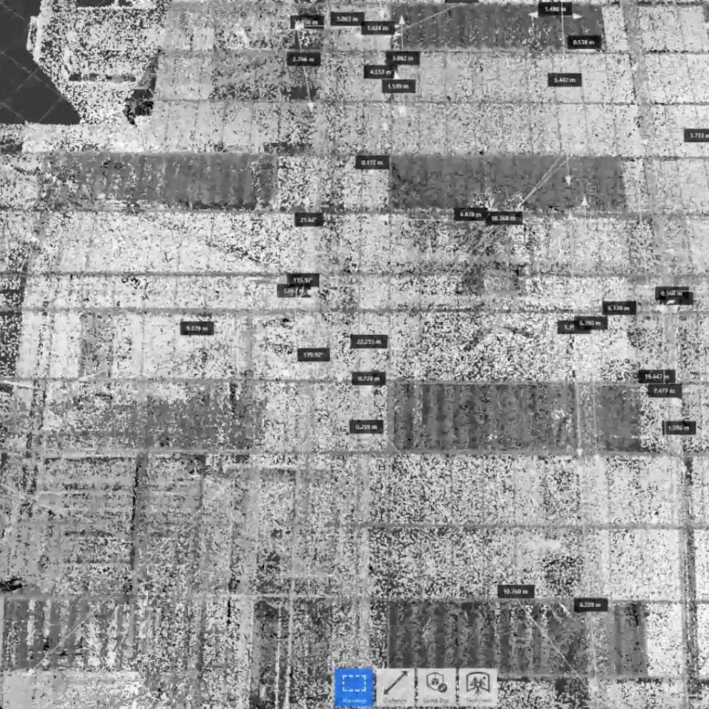 LIDAR_BroughtonAstley.webp